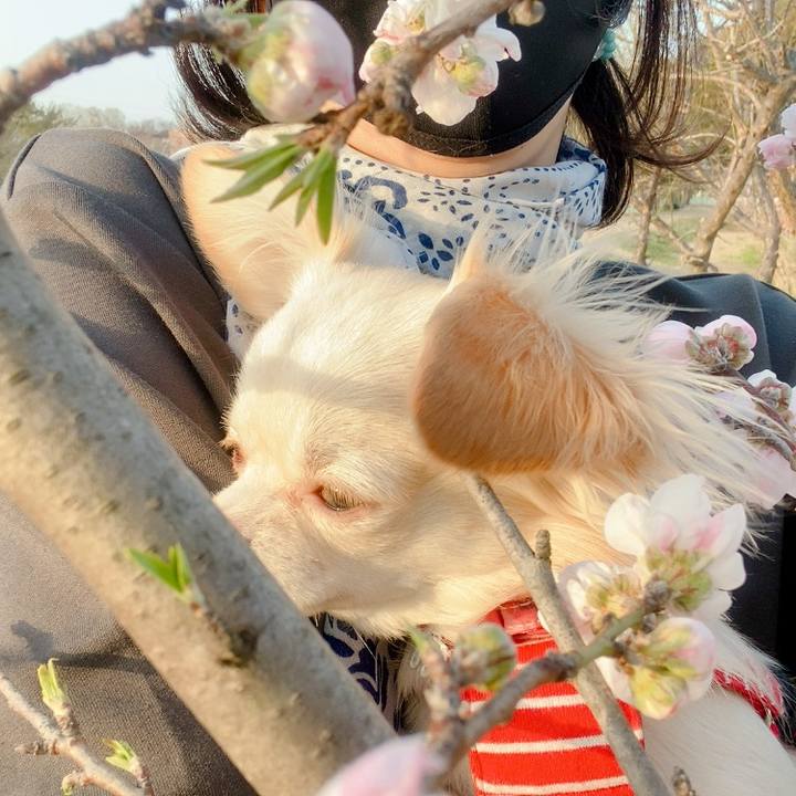 Bc605af3 500a 4eb5 a493 bbde00b3f39a 1616159332847