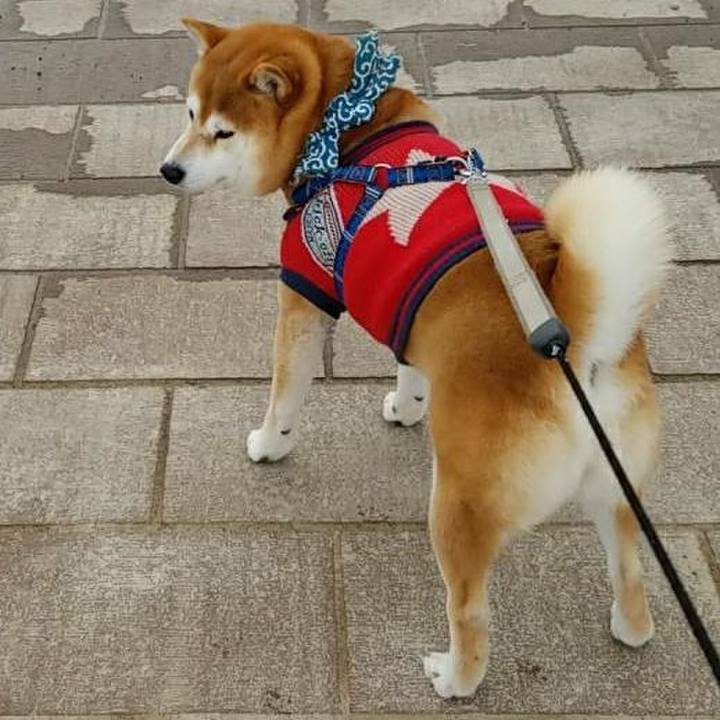 Bc605db4 357e 4c56 9646 0377526092dc 1518482640319