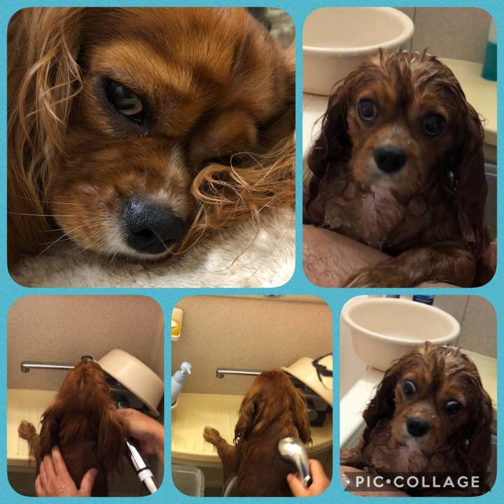 Bc609cfb 613f 4f84 aa80 1f3120d194b4 1595074121150