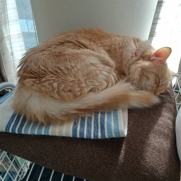 Bc60b104 03bf 4357 975b 0fca24efd83a 1640752865375