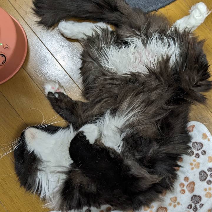 Bc60b7ef 45b4 403e 8592 0e5b97472021 1708688854071