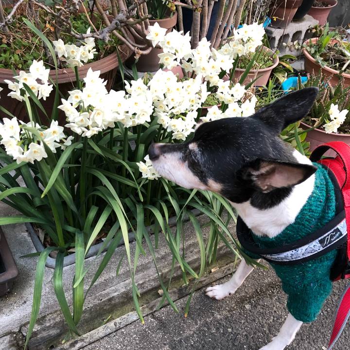 Bc60be1d 2a51 444f b73f b06010a3593e 1553035969275