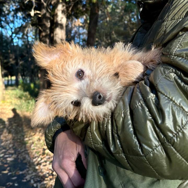 Bc60cdd0 13b0 4241 a314 54d61cae59af 1701637714697