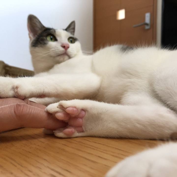 Bc60e287 d598 4c0f 9e9b ceded86e30b7 1692876801995