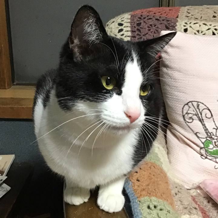 Bc612698 81aa 4ac8 9100 749a24bf34ce 1680954822781