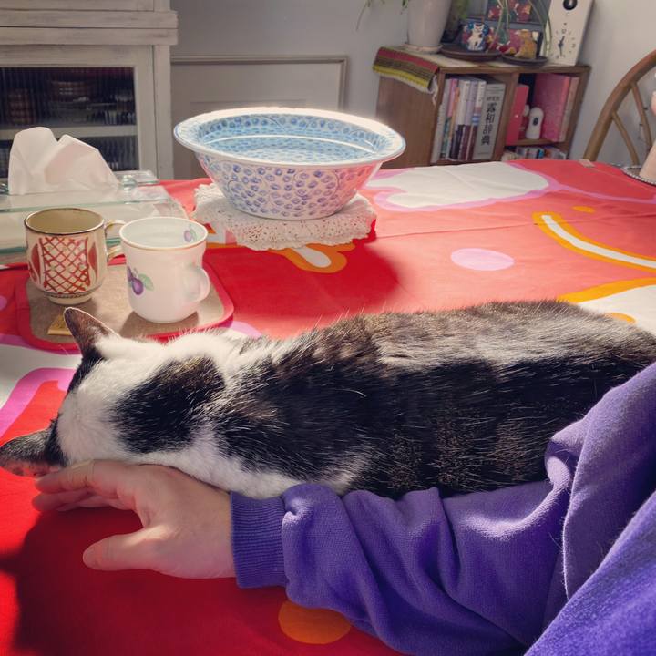 Bc614323 9a0e 4b72 933e 9e32b2849490 1578196915758