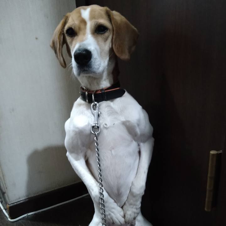 Bc615944 d7b4 4f9f 8552 93d57dcf7eb6 1644147973204