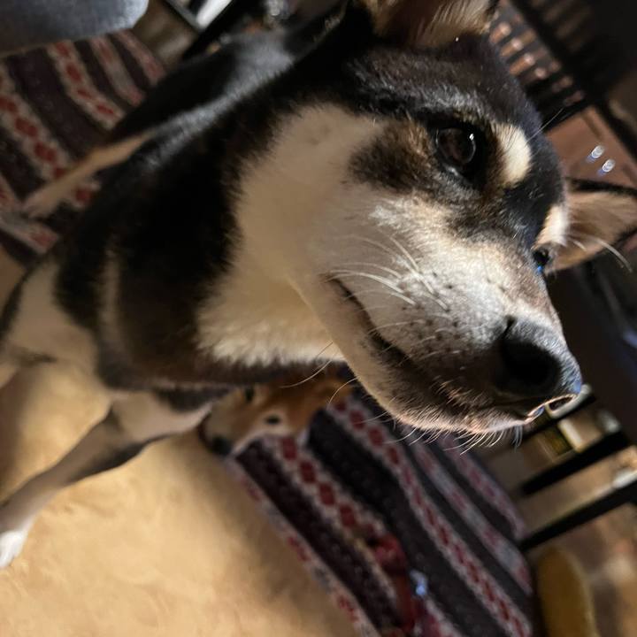 Bc615ff2 babe 45d9 80ab bea697ff1029 1639063803032