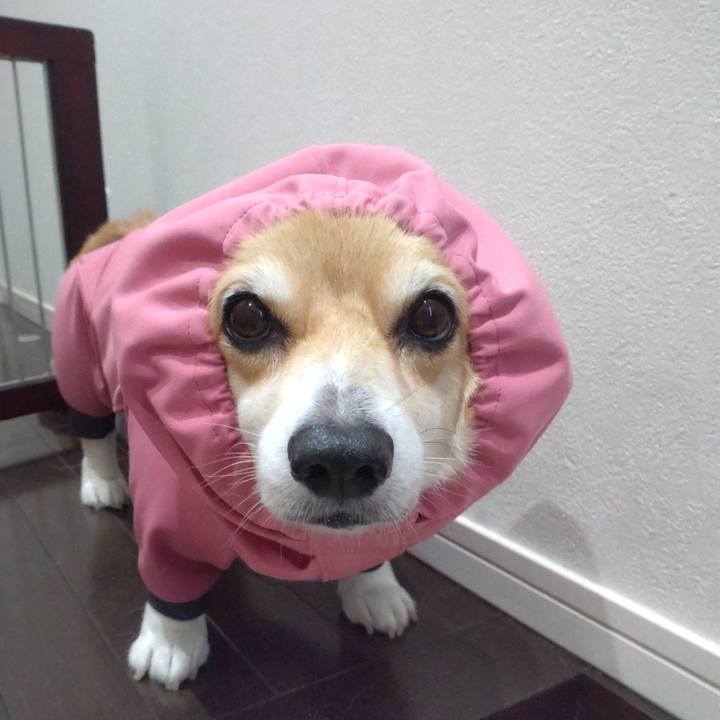 Bc616296 233a 4e7b 82c3 e6a1d3533e6e 1662639430163