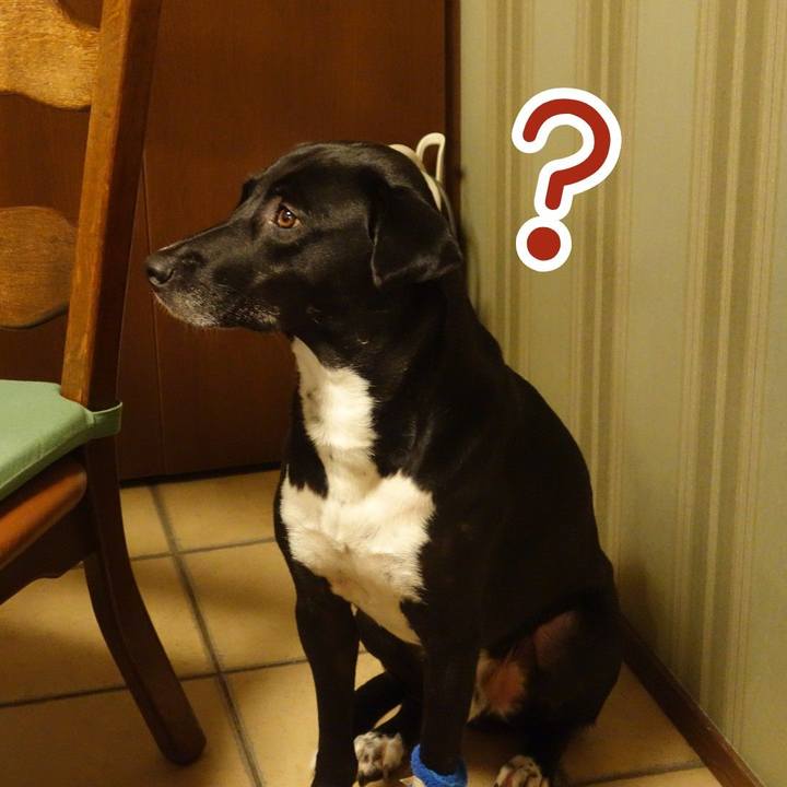 Bc616b9f 9ff6 4022 8fc9 1d7aab445656 1624109120458