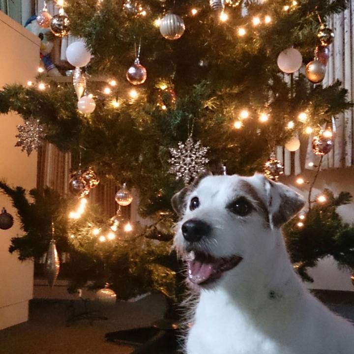 Bc619c66 c7a3 4bd8 b044 59f42eaf7586 1511996502267