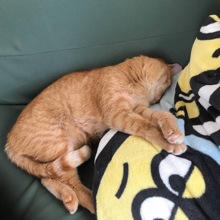 Bc61bec9 07a1 4cdd 8da8 50a69f632b4f 1545701764044