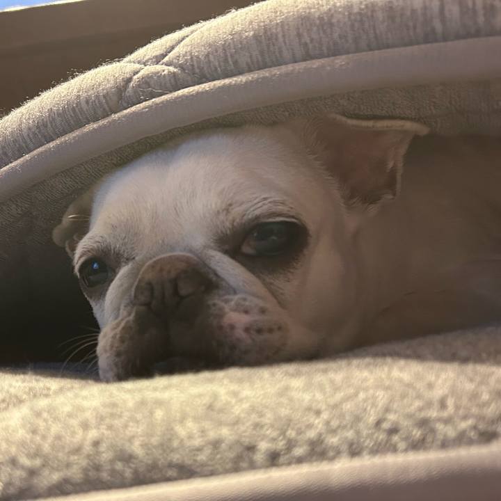 Bc61cca5 8554 479f b768 6a3f445d1f86 1689143908848