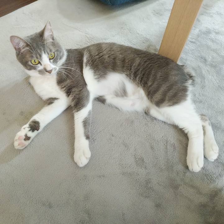 Bc61e002 4ed5 4084 9889 217c39fc940c 1592177612860