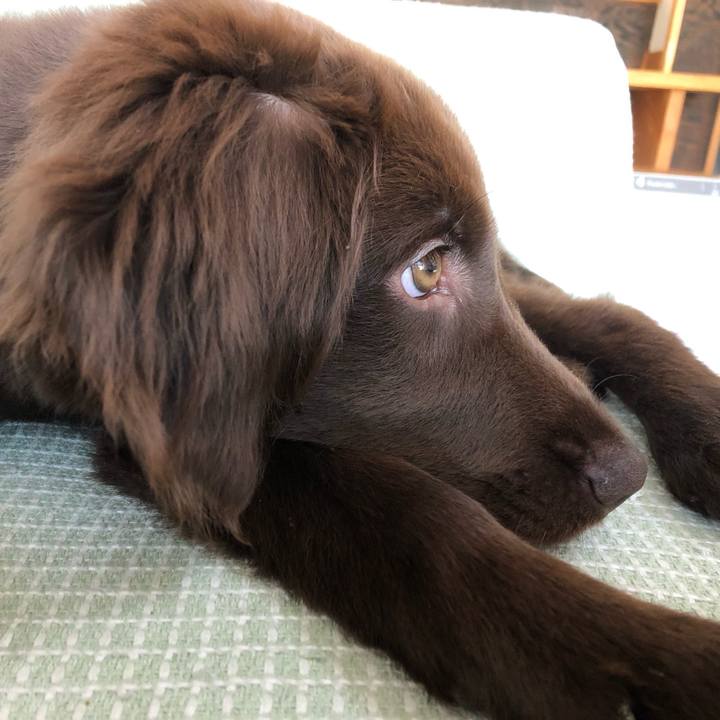 Bc61e9db 5265 4cf5 a47c 8fb34506bc1e 1555805676738