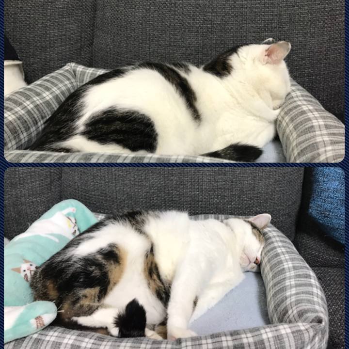 Bc62135d 3433 4ecf 971d ae53b5641b13 1517649438521