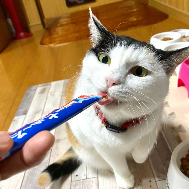 Bc621f04 e920 4647 904e 51b8fb1d68f6 1703168543273