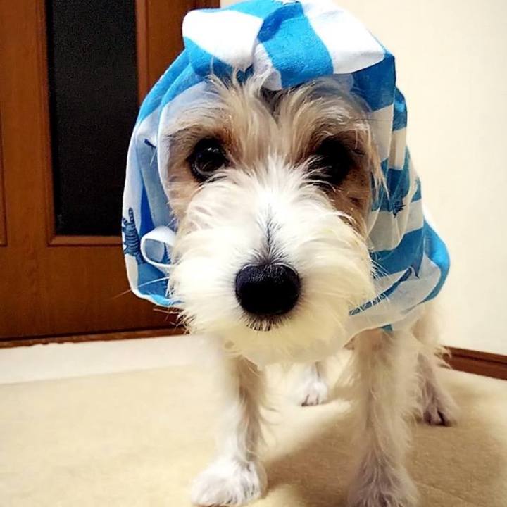 Bc6232c4 5650 44f2 bf41 838bdc467c13 1718103703492