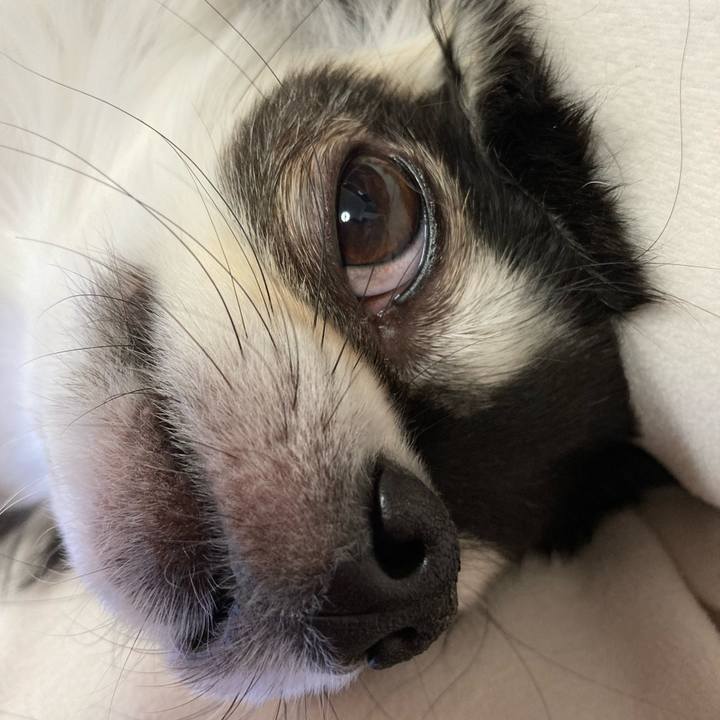 Bc624048 9be4 4eaf b7c3 7316622daecf 1675608819178