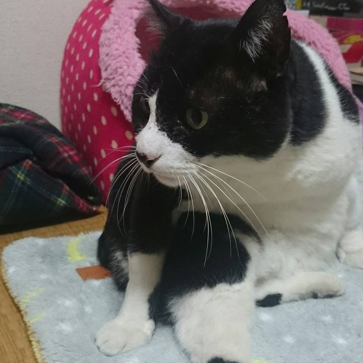 Bc62703c 49a8 4005 b61b 21d82af29b9c 1513413297094