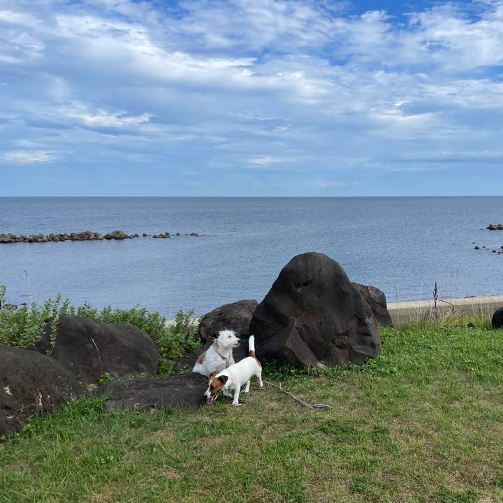 Bc628660 e106 45f9 b90e df3f5b1ddab0 1659397874824