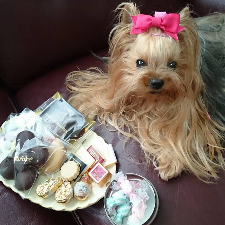 Bc62b245 83d4 4d61 b1d8 96377d53f710 1644850321152