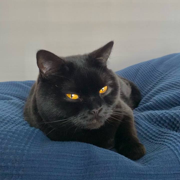 Bc62b57e c3e3 49c3 8e0a f384d3c6d957 1616401573025