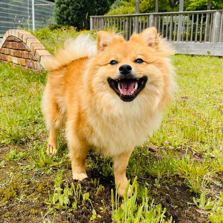 Bc62c4ee eb8f 48ab 86d9 b739f5381909 1594004939625