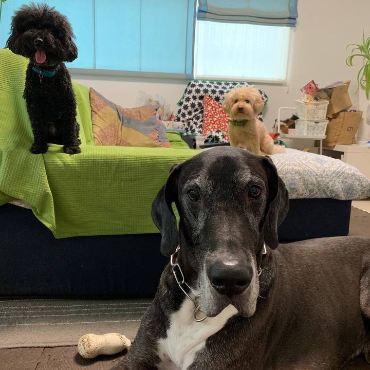 Bc62c8a6 2cfd 4245 b6e9 b590fdc1aa26 1563406176641