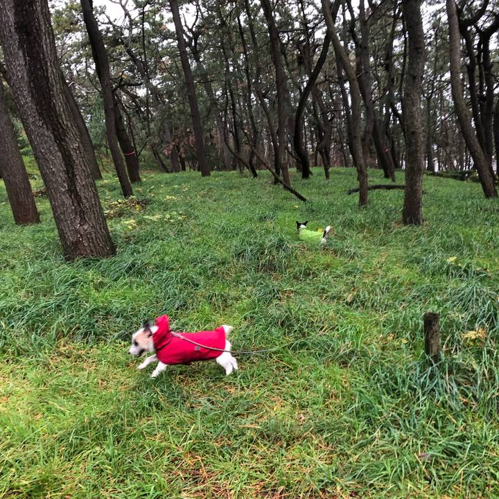 Bc62dc2c e860 4f48 90b7 4d540225490d 1544142691908