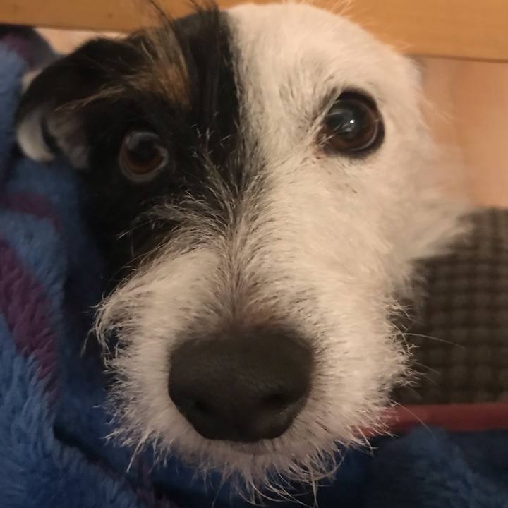 Bc62e396 e59a 4305 98f9 e01fc4d47b09 1544535048405