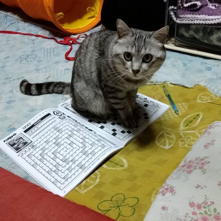 Bc6305db 79b2 4711 978f e373cd2e1eeb 1595949261181