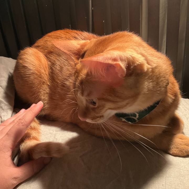 Bc63090a 5e0e 4879 9bb3 1fd065f0c32a 1638129202358