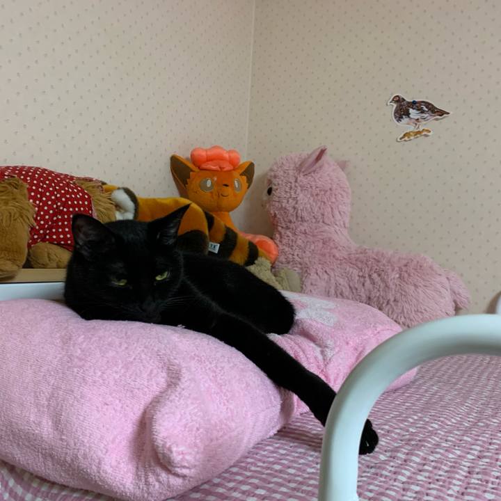 Bc63146a ee39 4da9 8df3 342b8c076f68 1571927577134