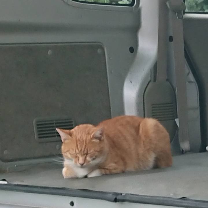 Bc631bd8 add1 4bc3 b4c2 7527f8ef4d5a 1597390506180