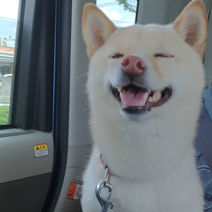 Bc636749 e1f8 4499 b31d fa850d7e00fd 1556968096772