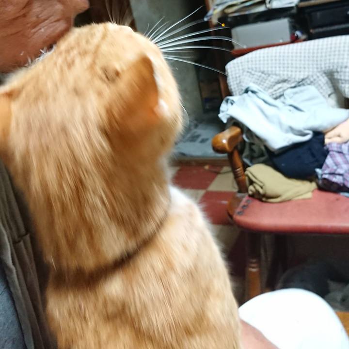 Bc638479 57bb 4049 bab8 8fd89d5c467e 1596225559292