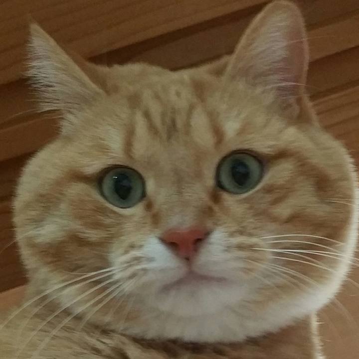 Bc63af26 6a72 48ba a051 e672e94c4e35 1549092523194