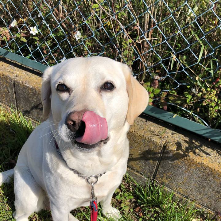 Bc63c4c6 952e 4cbd b3b0 c9cecf54a51c 1649205405612