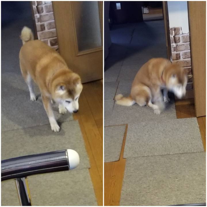 Bc63cbe2 b60c 4bba ab66 7981a8a4a73a 1740644742795