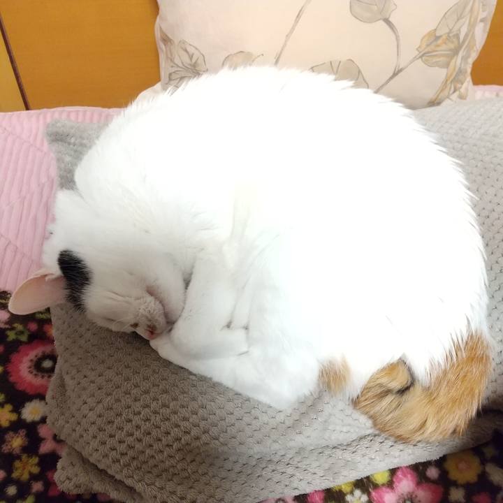 Bc63e908 3bcf 4b77 9486 0888b4451f7b 1704808734668