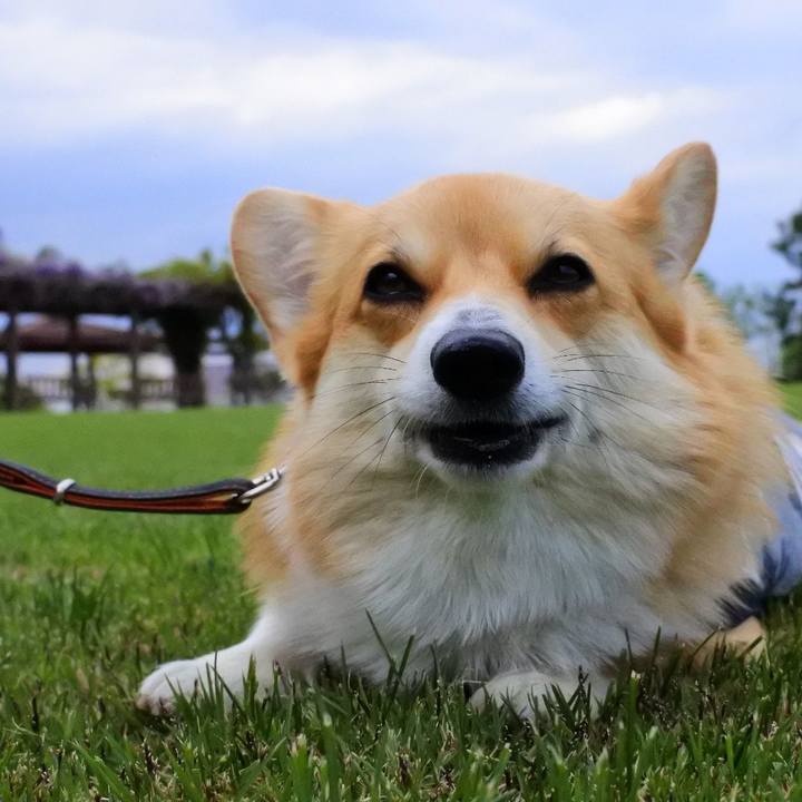 Bc63f16c 0713 4420 bb2c 237fccf11113 1525684948733