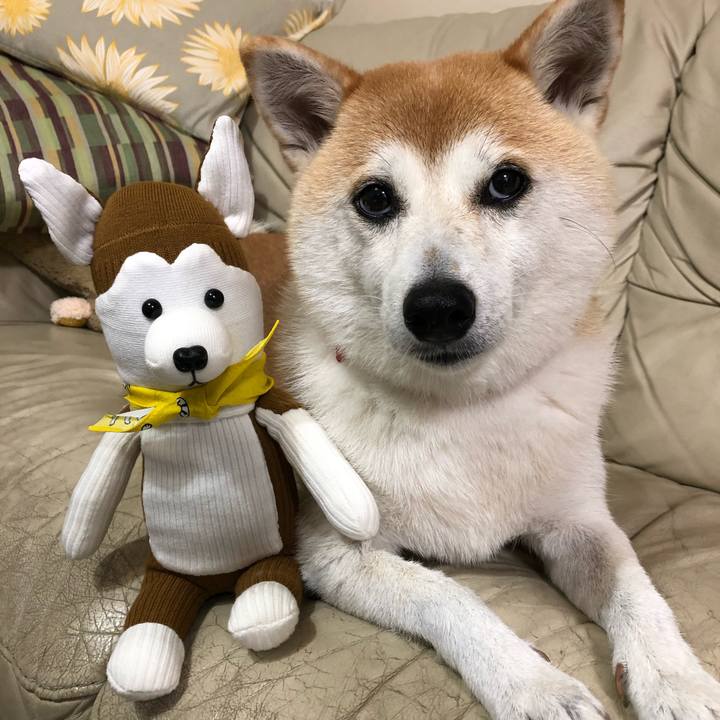 Bc645c2f 0565 4abf 8815 a68546d9036d 1631273268831