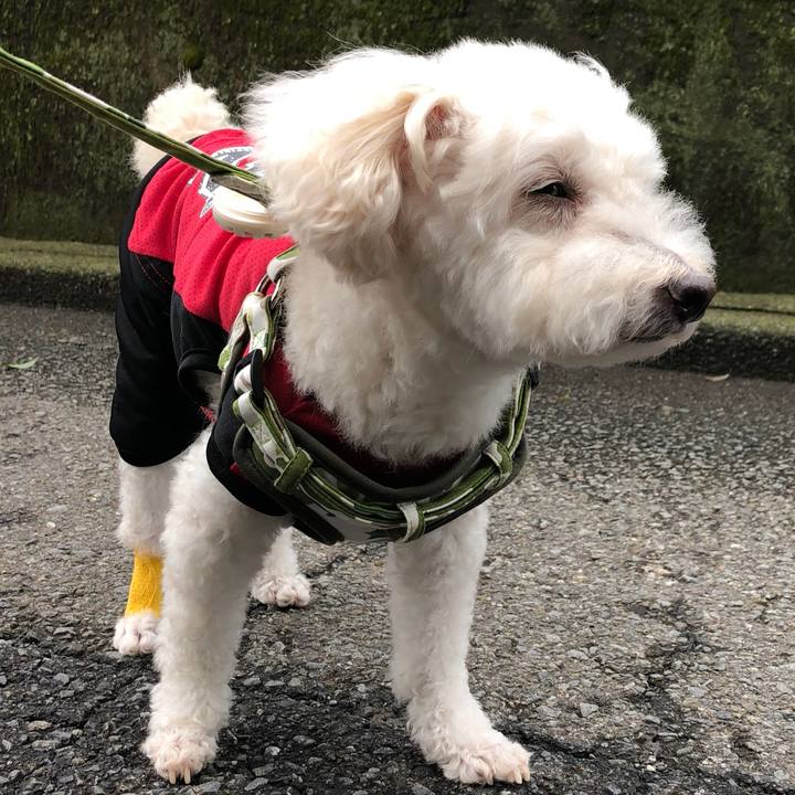 Bc645f10 5f9a 4c16 92cf 6a6f1af0958c 1533794131571