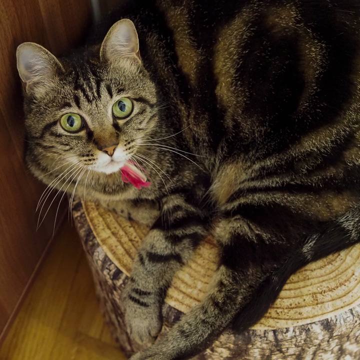 Bc647eeb f5c9 4644 adf6 628e650cc898 1624963970353