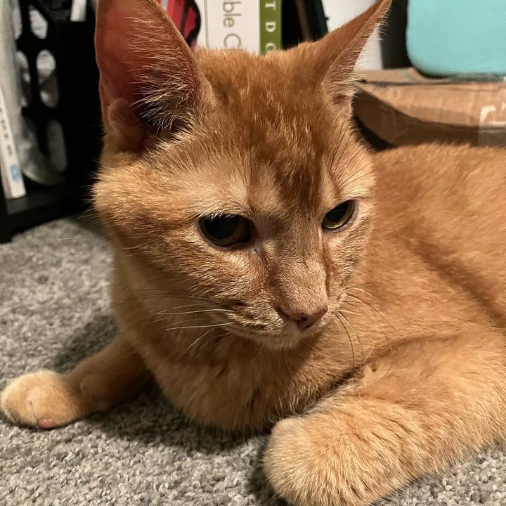 Bc64c4a5 5064 4704 8eab 07547aea42ff 1682516937499