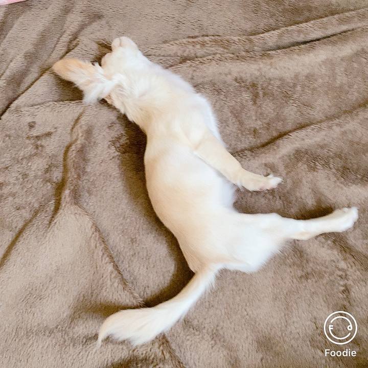 Bc64dc22 0b89 43e5 bfab 7fc919143062 1597872246027