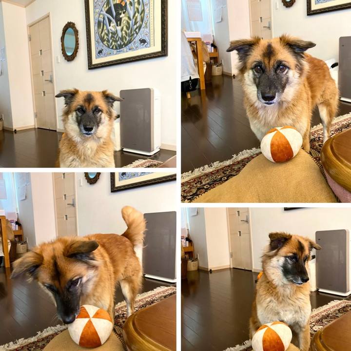 Bc650190 c28c 462f ab63 fb993a45487b 1766544255585