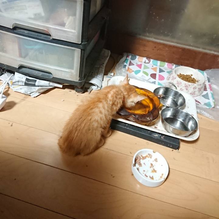 Bc65e6f2 8418 4144 afc7 8ea23a3428f3 1628801517377