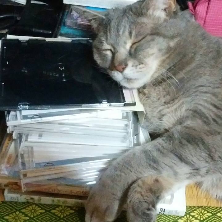 Bc65f155 9ce2 4d12 9d58 858b32723d03 1558617197897